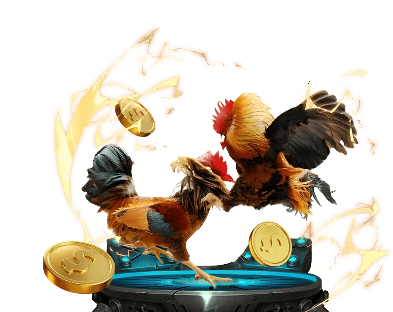 Mã hóa dữ liệu agbong88